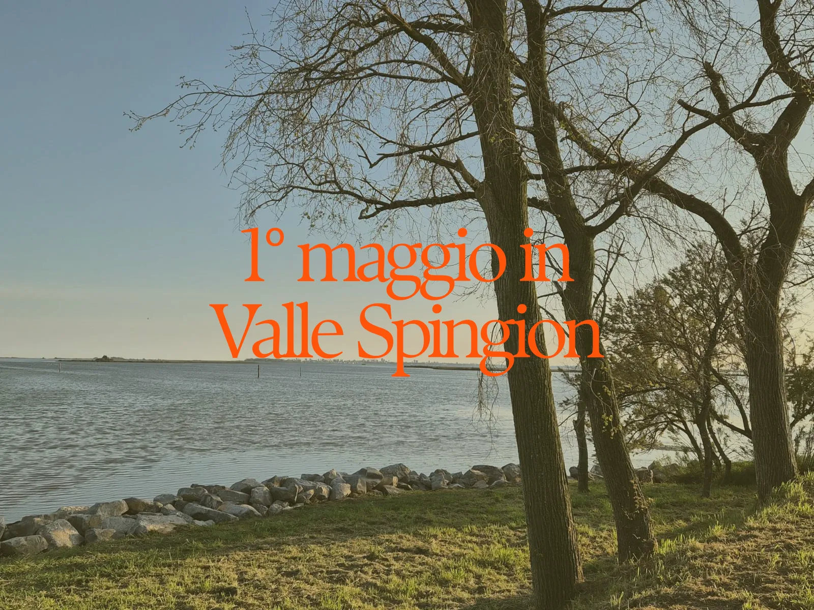 Locandina 1 maggio in Valle Spingion del venerdì 1 maggio — vista sulla laguna di Marano con albero in primo piano